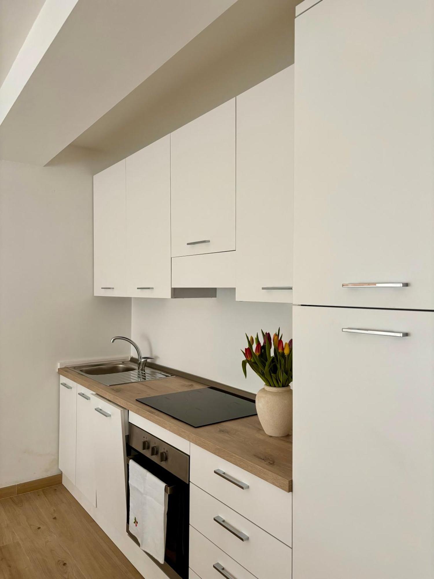 Tati&Ele Apartments Sedico 외부 사진